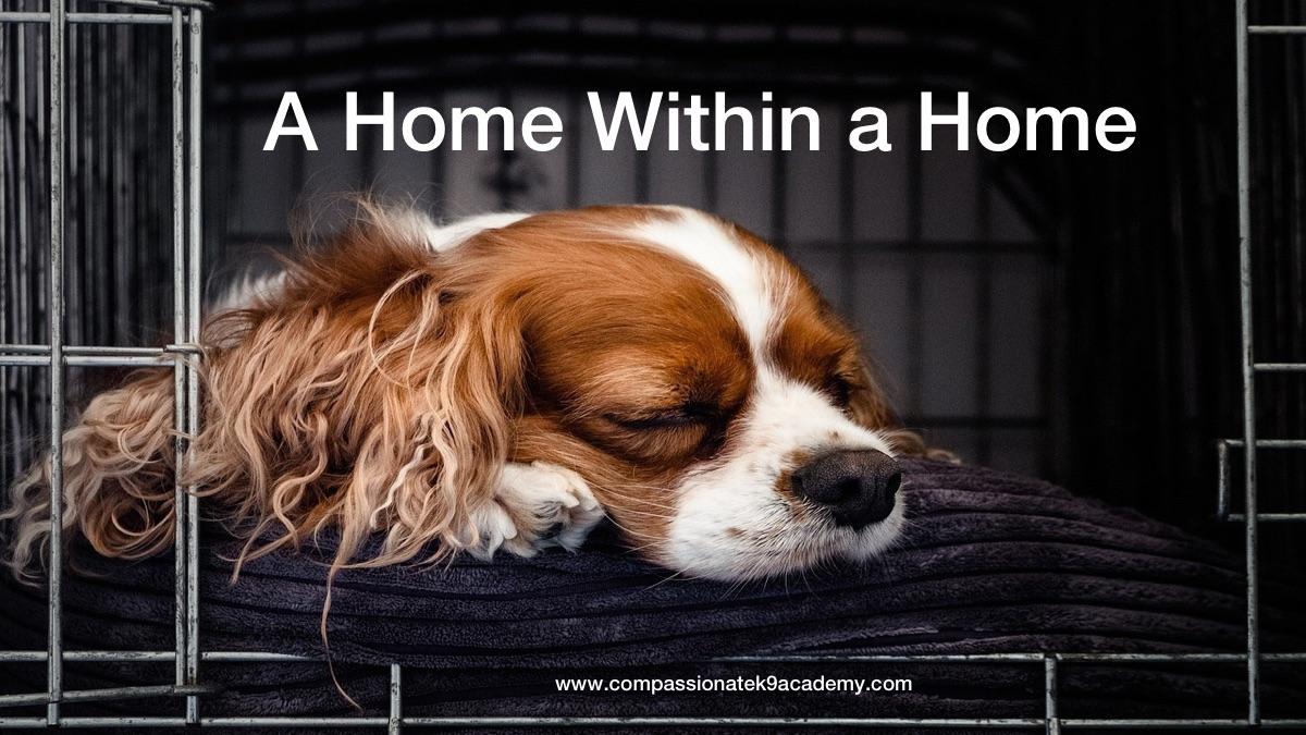 Crate Training: A Home Within a Home